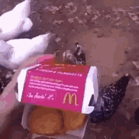 a person is holding a mcdonald 's box with chicken nuggets in it .