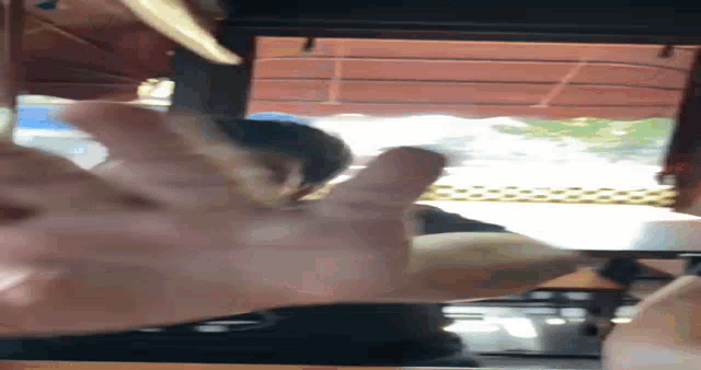 a person is taking a picture of a window with their finger