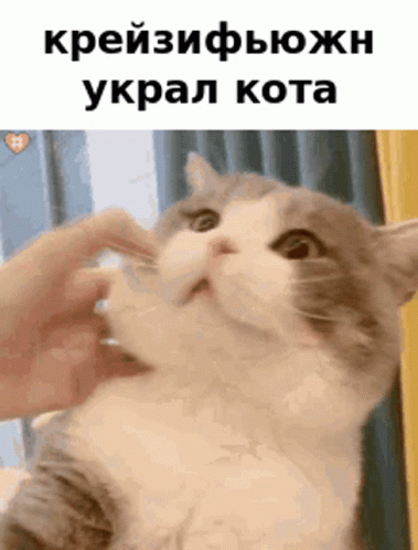 крейзифьюжн квуксквад GIF - крейзифьюжн квуксквад Kvuqq Squad GIFs