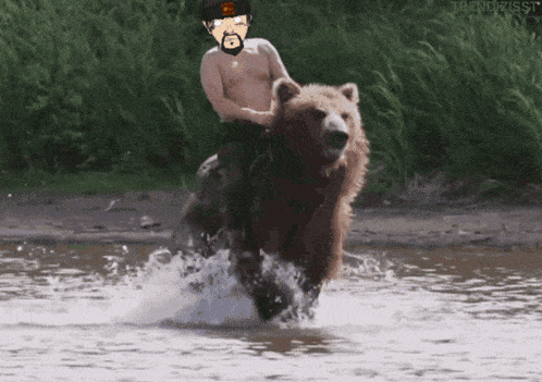 a man riding on the back of a brown bear