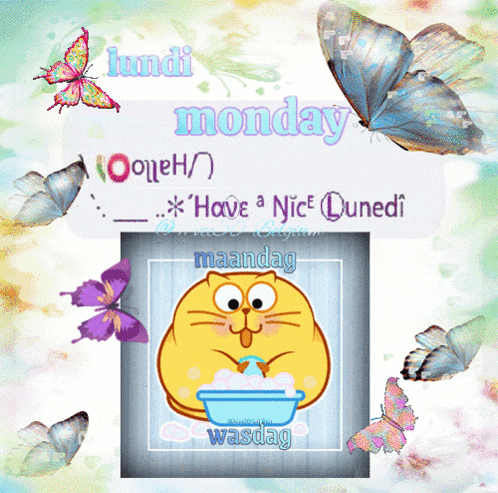 a picture of a cat washing it 's hands with the words monday in the background