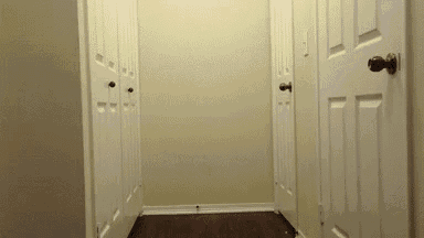 a hallway with a lot of doors and a wooden floor in a house .