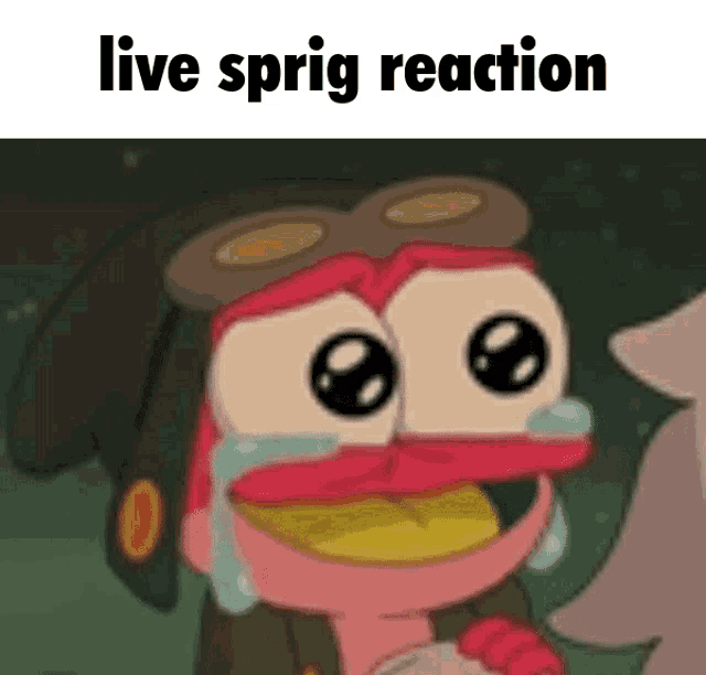 a cartoon character is crying with tears in his eyes and the words `` live sprig reaction '' .