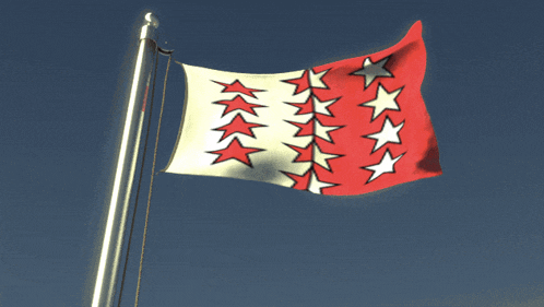 a red white and black flag with stars on it