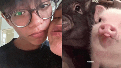a man wearing glasses kisses a woman on the cheek next to a pig with the word owen on the bottom
