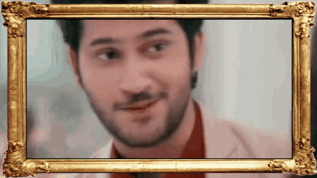 a framed picture of a man with a beard