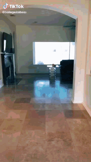 a tiktok video shows a living room with a bottle of water on the floor