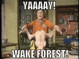 Yaay! Wake Forest GIF - Yay Wake Forest Chicken GIFs