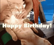 Happy Birthday Massage GIF - Happy Birthday Massage Cat GIFs