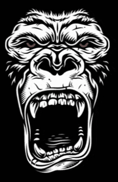 a black and white drawing of a gorilla 's face with its mouth open .