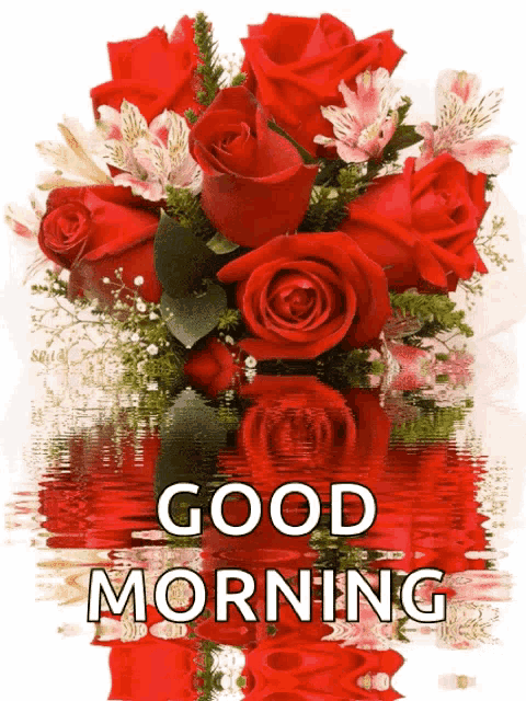 a bouquet of red roses is reflected in the water with the words good morning
