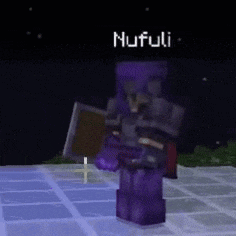 a minecraft character is holding a purple shield and a sword .