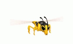 Wasps GIF - Wasps GIFs