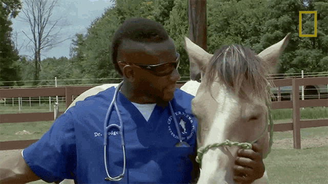 Hugging The Horse Dr Hodges GIF - Hugging The Horse Dr Hodges Critter Fixers GIFs