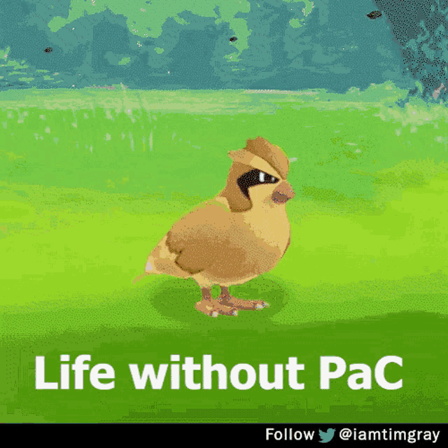 a picture of a bird with the words life without pac on the bottom
