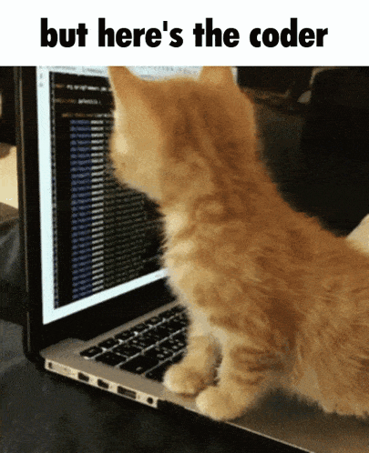 But Here'S The Coder GIF - But Here'S The Coder Cat GIFs