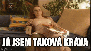Krava Ceska GIF