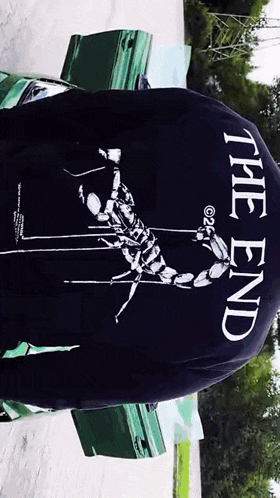 a person wearing a shirt that says the end on the back