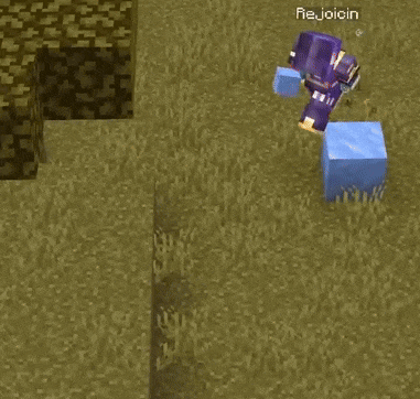 a purple minecraft character with the name leoexists