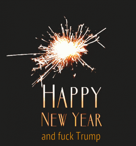 Happy New Year Happy New Year Fuck Trump GIF - Happy New Year Happy New Year Fuck Trump Trump GIFs