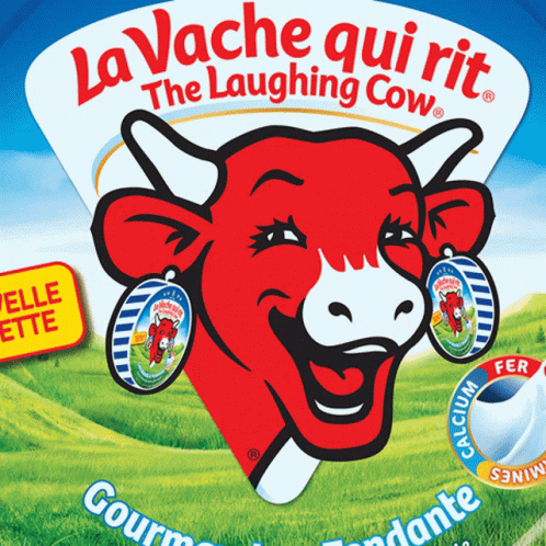 Humour Cow GIF