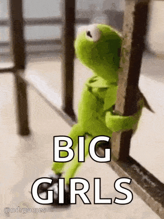 kermit the frog is leaning against a railing with the words `` big girls '' .