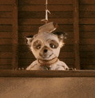 a stuffed animal is sitting on a balcony looking out a window .