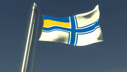 a flag with a blue and yellow cross on it