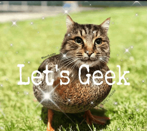 a cat that looks like a duck with the words let 's geek on it