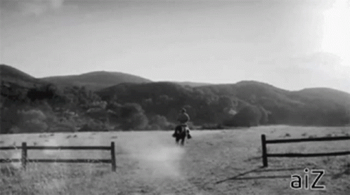The End Fin GIF - The End Fin Horse GIFs