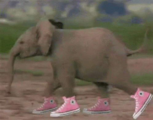 Running Elephant GIF - Running Elephant Sneakers GIFs
