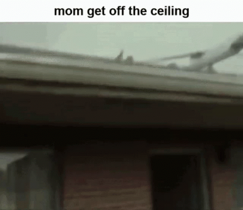 Mom Ceiling GIF - Mom Ceiling Plane GIFs