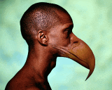 a man with a bird 's head has a large beak