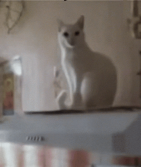 a white cat sitting on top of a white box that says ' a ' on it