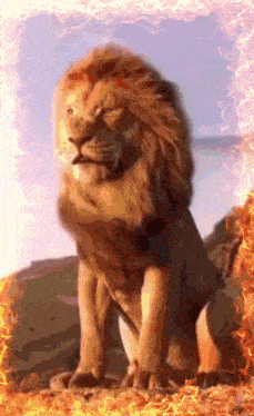 a lion is sitting on a hill with flames surrounding it