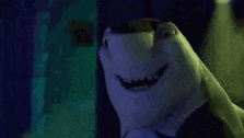 a close up of a shark swimming in a dark room .