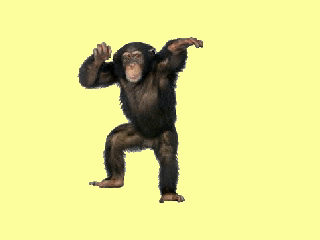 a chimpanzee sitting on a yellow background