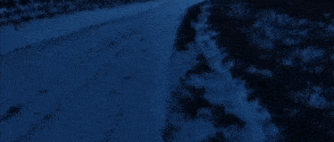 a snowy road in the middle of a field