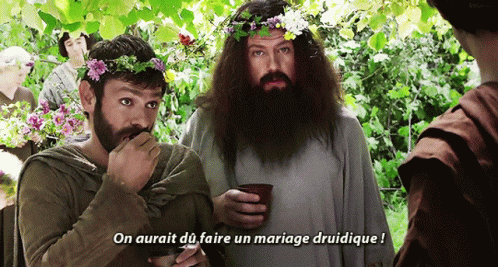 Kaamelott On Aurait Du Faire Un Mariage Druidique GIF - Kaamelott On Aurait Du Faire Un Mariage Druidique Merlin GIFs