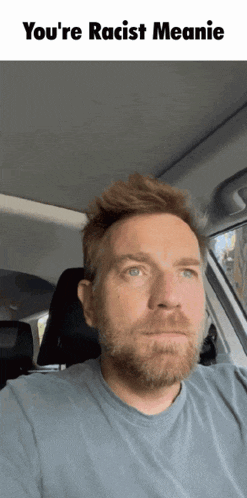 a man with a beard is sitting in a car with the words you 're racist meanie below him