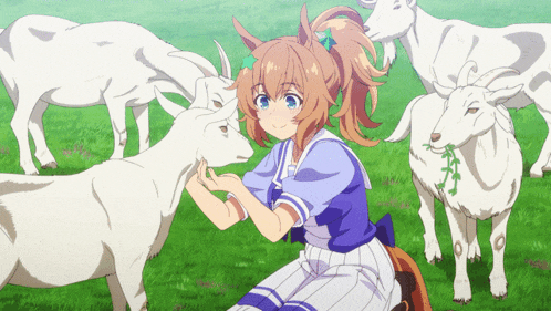 a girl is petting a goat in a field with other goats