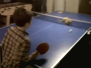 Ping Pong Wizard GIF