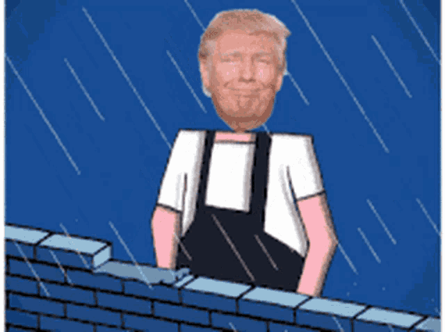 a cartoon of donald trump standing on a brick wall