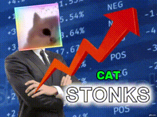 a man in a suit with a cat on his head stands in front of a stock chart that says cat stonks