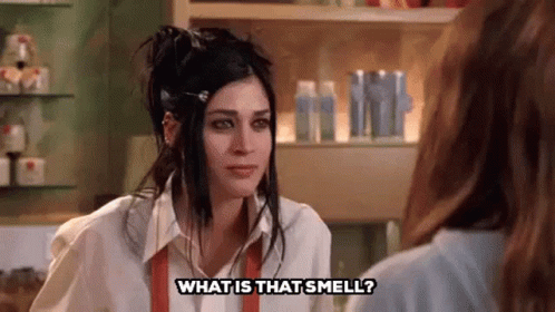 What Is That Smell Mean Girls GIF - What Is That Smell Mean Girls Stinky GIFs