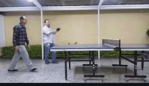 Ping Pong Table Tennis GIF - Ping Pong Table Tennis Bffs GIFs