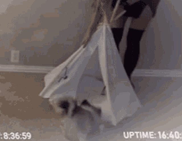 a woman is standing next to a dog in a white tent with uptime written on the bottom