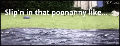 Ponnany Slide GIF - Ponnany Slide Slip In That Poonanny Like GIFs