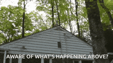Roof Inspection Dog On Roof GIF - Roof Inspection Dog On Roof Xtreme Xteriors GIFs
