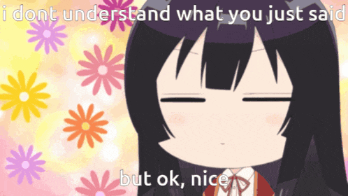 a picture of a girl with the words i dont understand what you just said but ok nice on the bottom